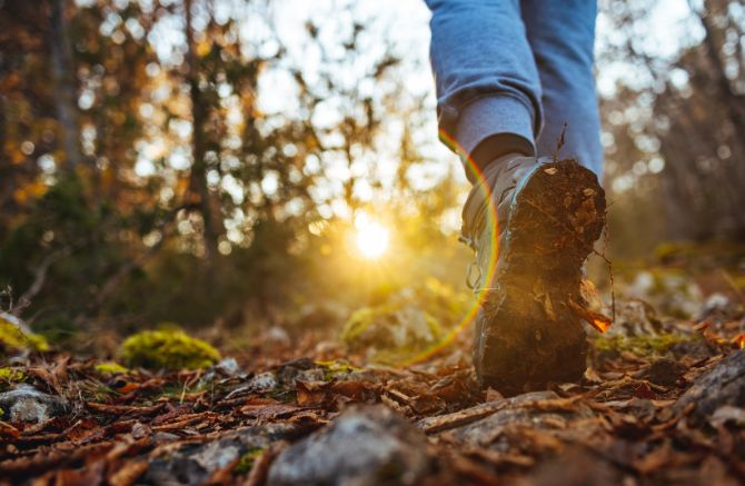 Nature walking activity at MSB Silver Spring Resort Yelagiri